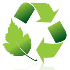 environmental policy